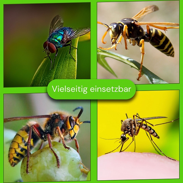 AROBA velika ekološka zamka za ose i stršljene – 2-dijelni set promjera 18 cm – Učinkovita zaštita vrta i balkona bez otrova – Zamka za insekte, komarce, muhe, ose i stršljene – Prirodno odbijanje insekata uz višekratnu uporabu - Wasp Stop