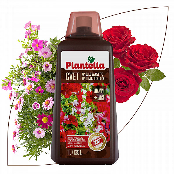 Liquid Fertilizer PLANTELLA BLUME for Balcony & Houseplants 1 Liter – For Lush, Long-Lasting Blooms | With Algae, Vitamins & Bloom Activators | Easy to Use & Fast Acting