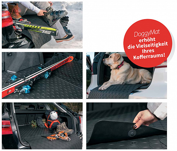 GL0614 Öko Trocken Reinger & Pflegemittel für Gummi Fußmatten und Kofferraumwannen