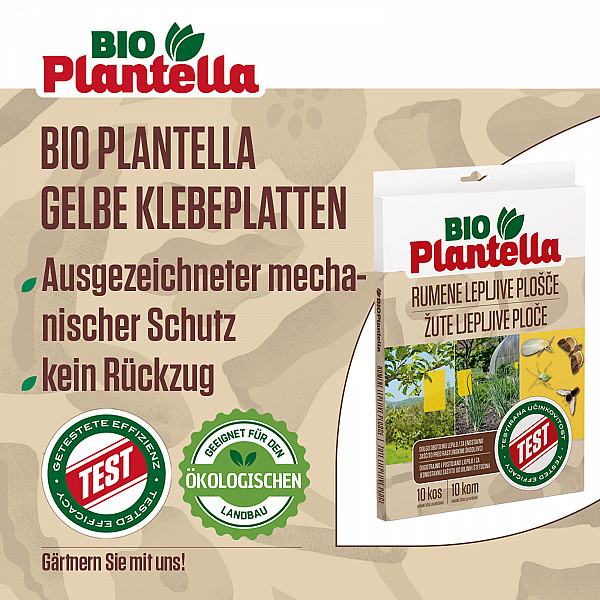 Große Leimringe Bio PLANTELLA 20 Stück Gelbsticker 20 x 26cm Gelbtafeln Klebrige Insektenfallen zum Schutz der Bäume vor kleinen Schädlingen wie Trauermücken Klebeplatten