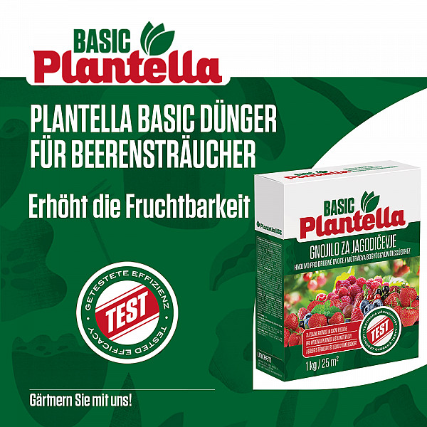 PLANTELLA Basic Berry Fertilizer 1Kg – Granules for Strawberries, Raspberries, Currants & Blueberries – Promotes Flowering, Fertility & Juicy Berries – With Potassium for Better Yields
