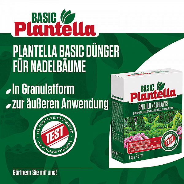 PLANTELLA Basic Conifer Fertilizer 1Kg – Granules for Cypresses, Firs, Rhododendrons & Azaleas – Strong Growth & Green Needles – With Magnesium, Zinc & Boron