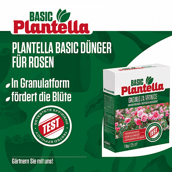 PLANTELLA Basic Rose Fertilizer 1Kg – Specialized Granular Fertilizer for Strong Rose Blooms & Healthy Growth – Long-Lasting Effect with Phosphorus & Zinc – Suitable for Bed, Potted & Climbing Roses