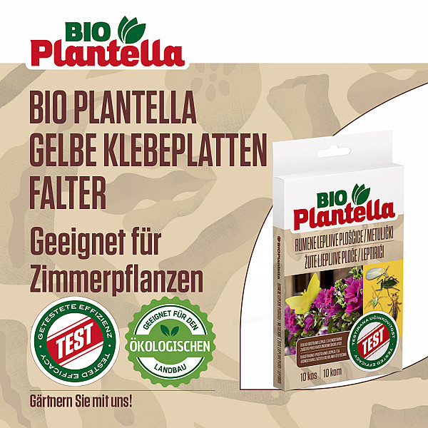 Schmetterling Leimringe Bio PLANTELLA 30 Stück Gelbsticker in Form eines Schmetterlings zum Schutz der Balkonpflanzen & Zimmerpflanzen Gelbtafeln Klebrige Insektenfallen gegen kleine Schädlinge wie Trauermücken