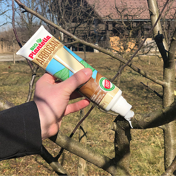 Protective Resin BIO PLANTELLA ARBOSAN 350g for Trees & Shrubs – Natural Wound Sealant for Cuts & Grafting – 100% Organic, Eco-Friendly, Weather-Resistant with Integrated Sponge