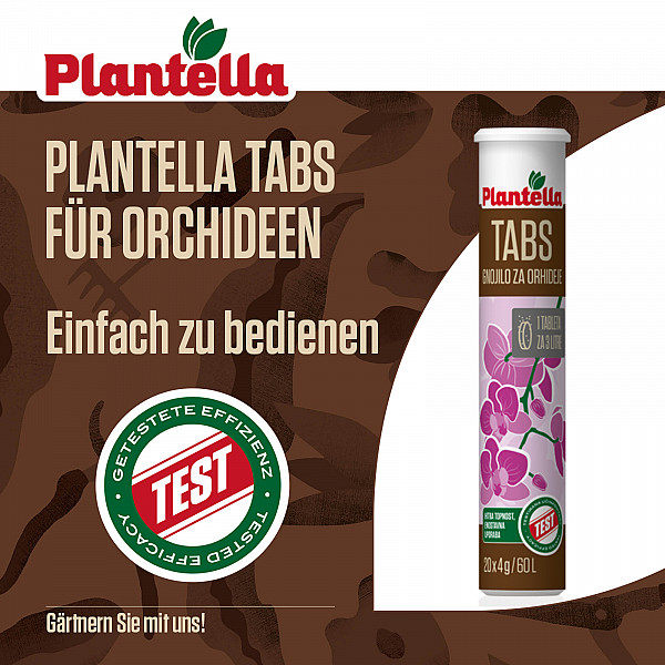 Tabs for Orchids PLANTELLA – 10 Tablets – Efficient Tablet-Form Care for Strong Roots & Lush Orchid Blooms