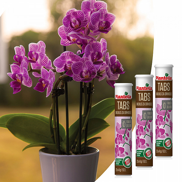 Tabs for Orchids PLANTELLA – 10 Tablets – Efficient Tablet-Form Care for Strong Roots & Lush Orchid Blooms