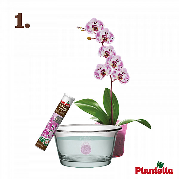 Tabs for Orchids PLANTELLA – 10 Tablets – Efficient Tablet-Form Care for Strong Roots & Lush Orchid Blooms