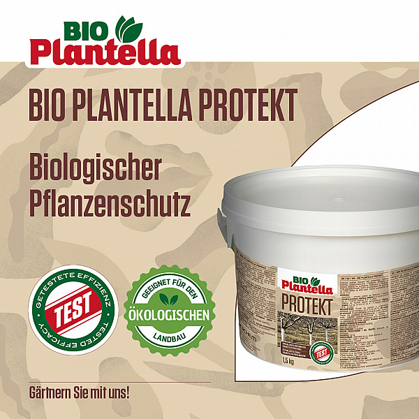 White Tree Paint BIO PLANTELLA PROTEKT – Organic Tree Protection Against Frost, Heat & Cracking | White Coating for Tree Trunks – Natural Winter Protection | 100% Plant-Safe